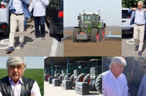 Georgescu Muscă parcarea