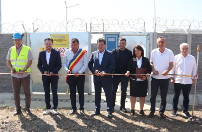 politicienii Aradului