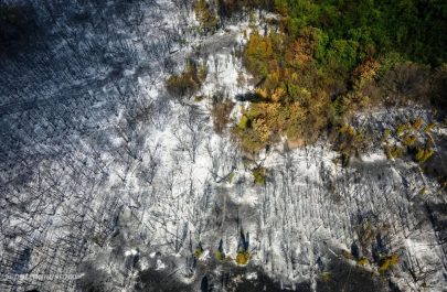 pompieri serbia incendii