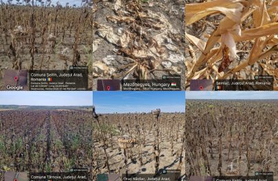 seceta agricultura colaj