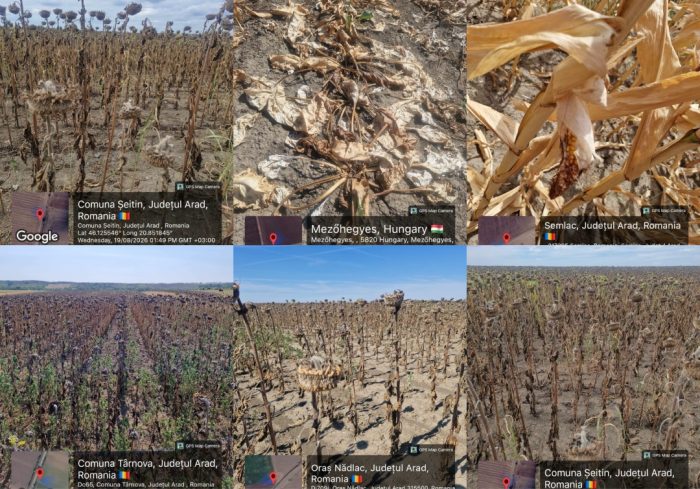 seceta agricultura colaj
