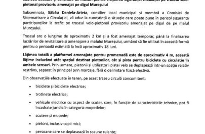 sesizare mal Daniela Sabau