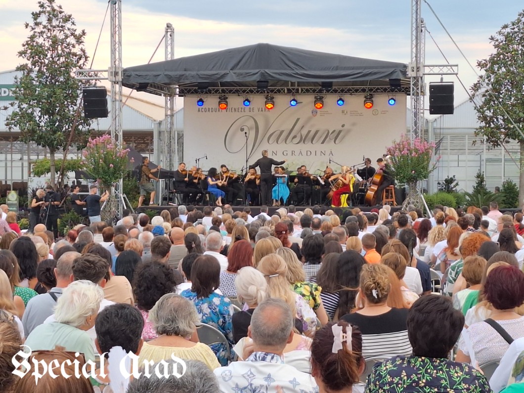 vals vienez Landisa Plant (25)