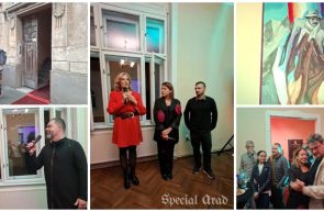 Palatul Artelor inaugurare