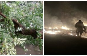 Noapte cu intervenții pentru prompierii arădeni. arbori căzuți pe carosabil și incendii de vegetație
