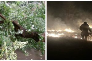 Noapte cu intervenții pentru prompierii arădeni. arbori căzuți pe carosabil și incendii de vegetație