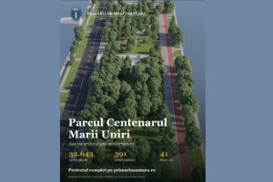 centrul istoric Sântana proiect