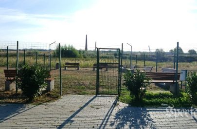 dezastru zona mărului defect distrus (1)