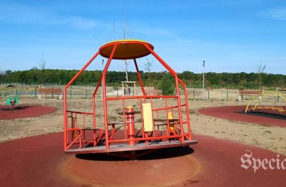 dezastru zona mărului defect distrus (12)
