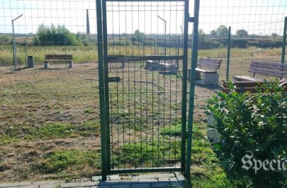 dezastru zona mărului defect distrus (3)