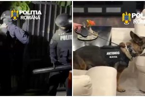 diicot agent penitenciarul