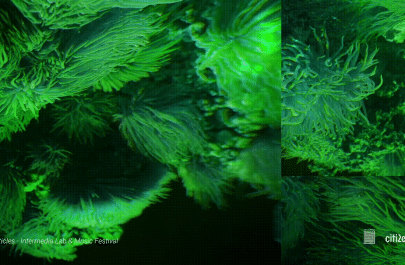 ecologizare Particles 7