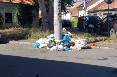 „Dosarele X” ale gunoaielor din Arad! Mizerie și miros pestilențial chiar în spate la sediul Poliției