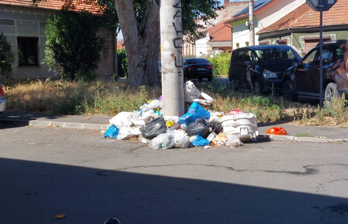 „Dosarele X” ale gunoaielor din Arad! Mizerie și miros pestilențial chiar în spate la sediul Poliției
