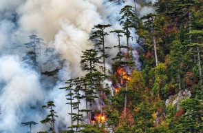 incendiul băile herculane