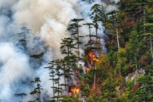 incendiul băile herculane
