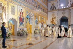 nicușor dan naționalismul sănătos