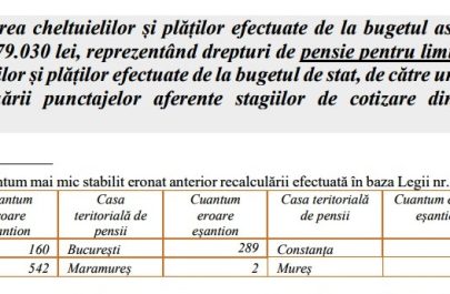 pensii curtea de conturi 2