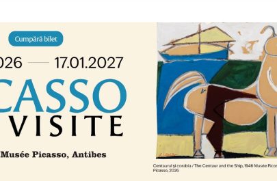 picasso timisoara
