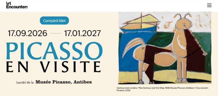 picasso timisoara