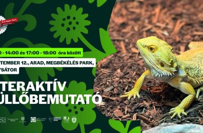 reptile Zilele Maghiare Arădene 2026