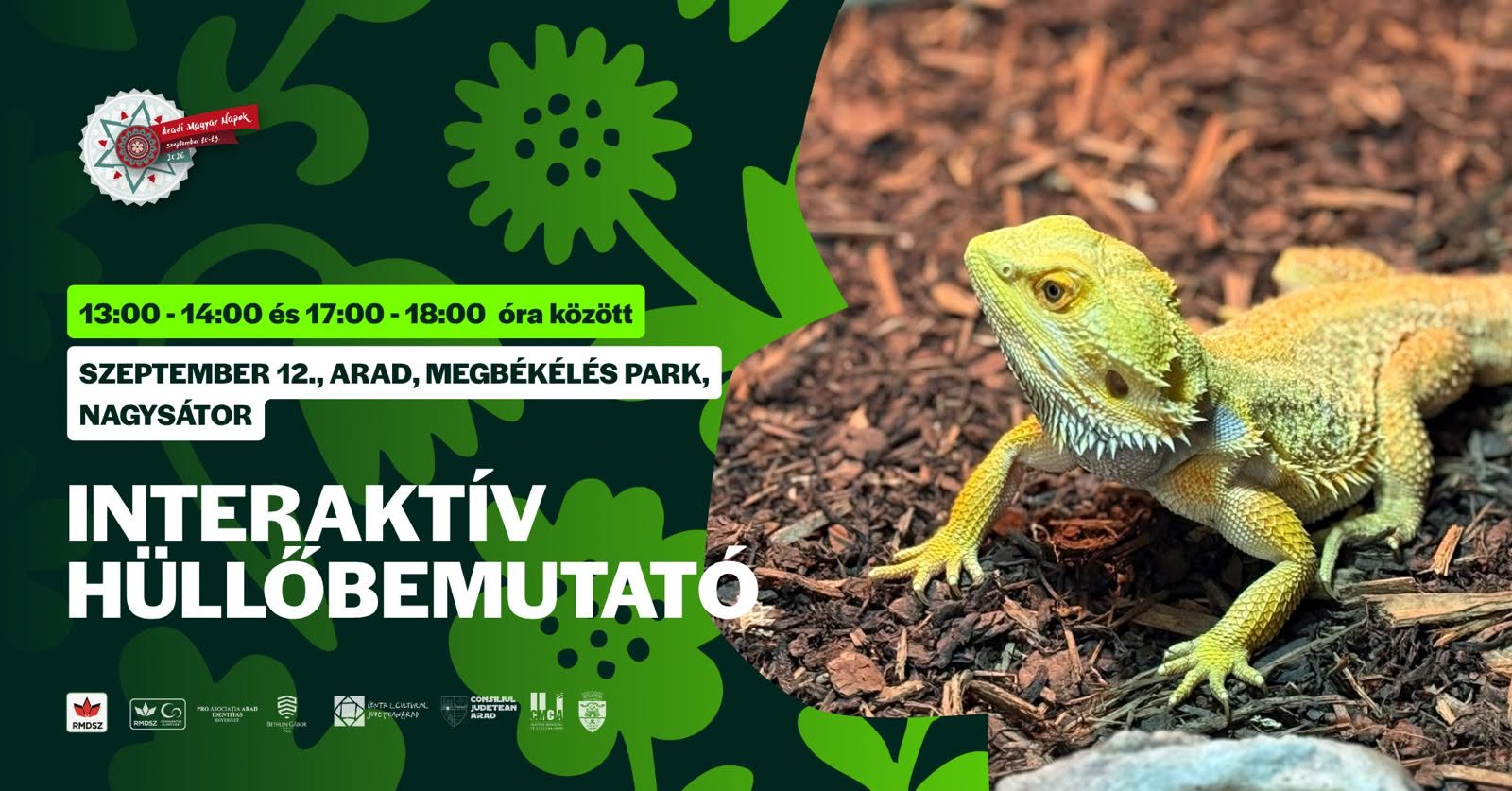 reptile Zilele Maghiare Arădene 2026