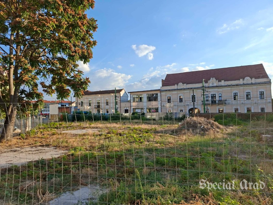 vinde teren boul roșu