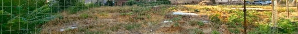 licitație publică teren tribunul dobra 16 zona boul roșu fost adăpost