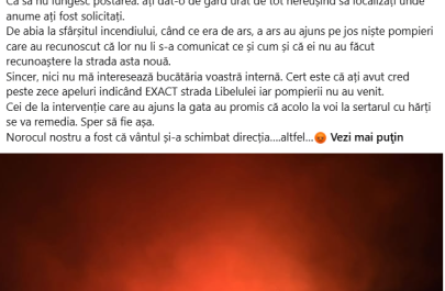 sesizare