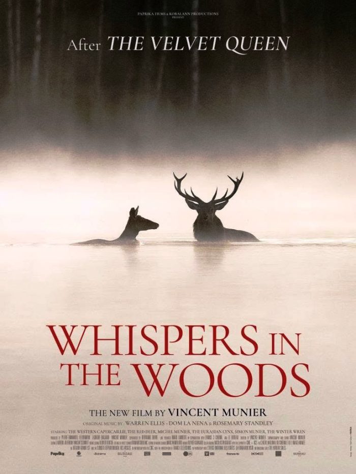 stiri ratate 61 fArad whisper of wood