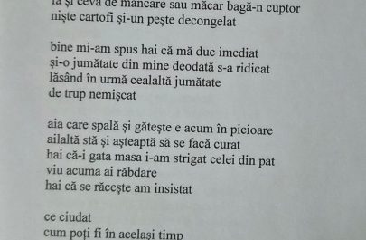 stiri ratate 61 poezia Oana Paler Time to split