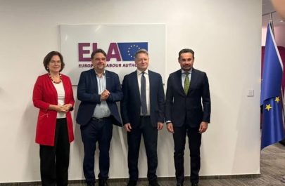 Falcă europarlamentar