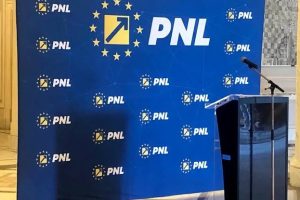 BPN PNL NICULESCU GUVERN
