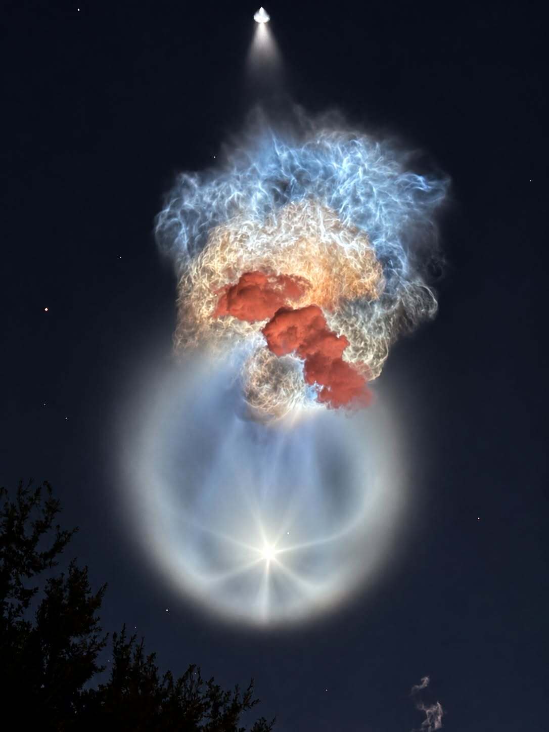 Meduza cosmică - SpaceX -NASA (2)