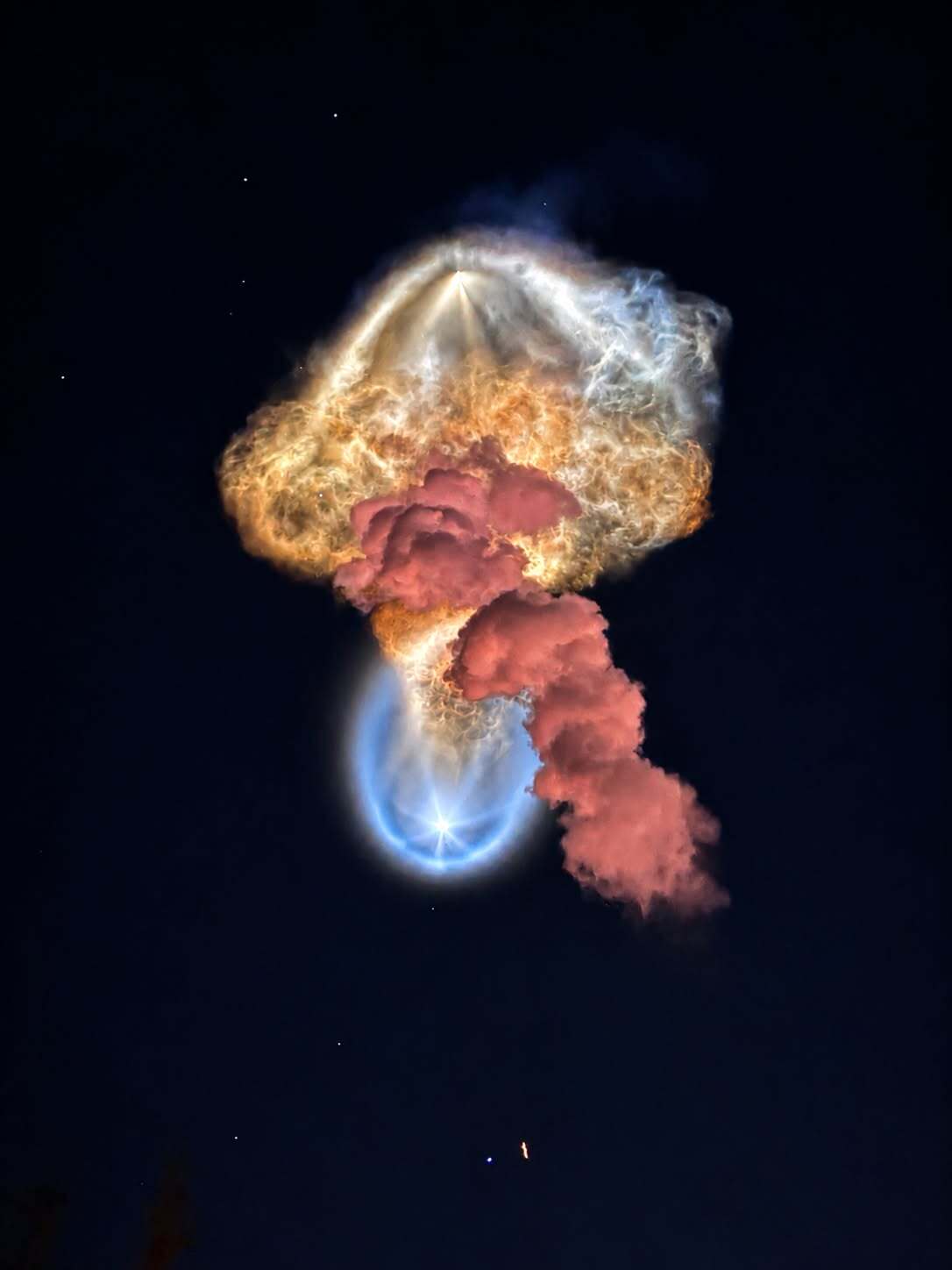 Meduza cosmică - SpaceX -NASA (3)