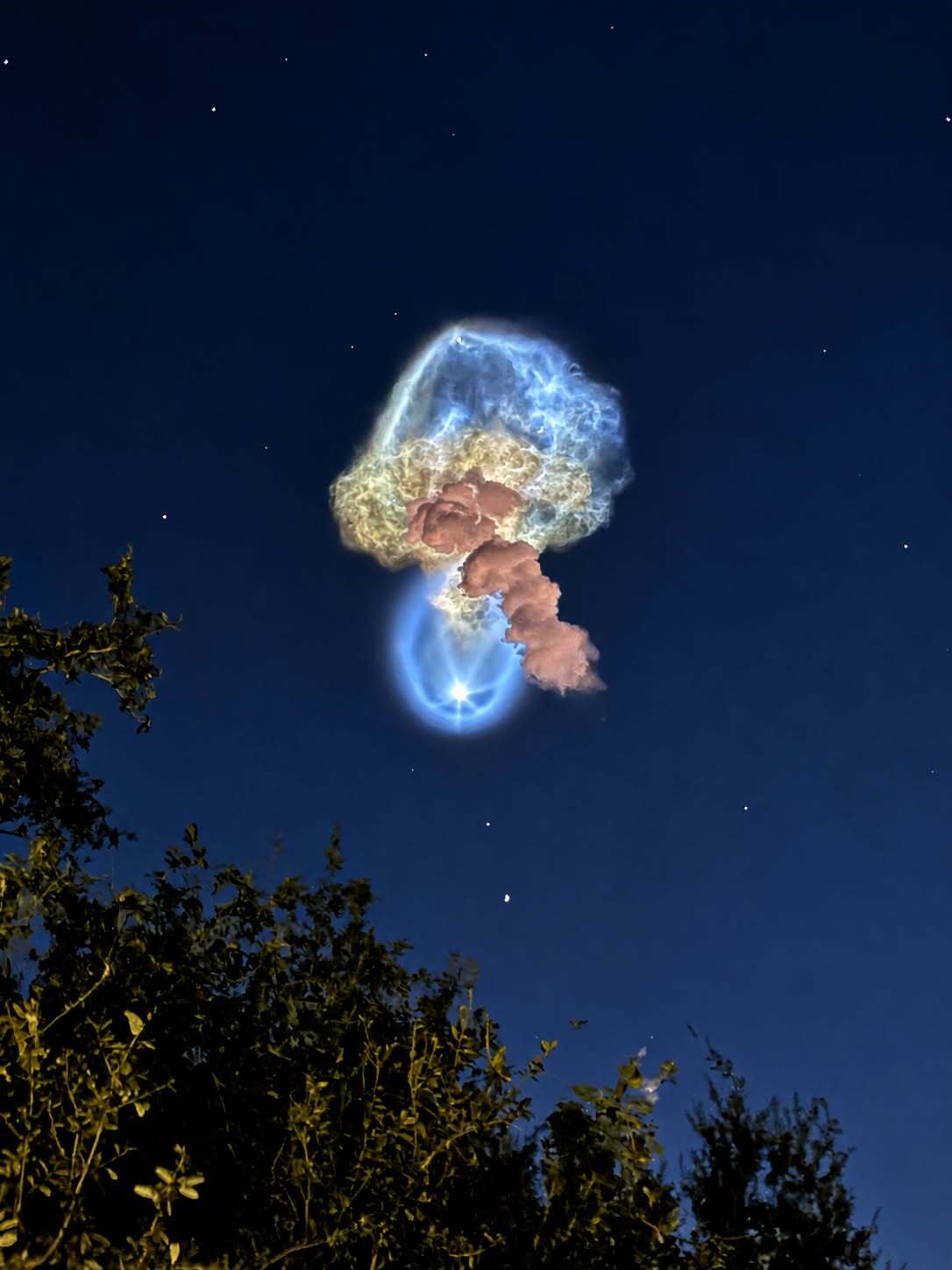 Meduza cosmică - SpaceX -NASA (4)