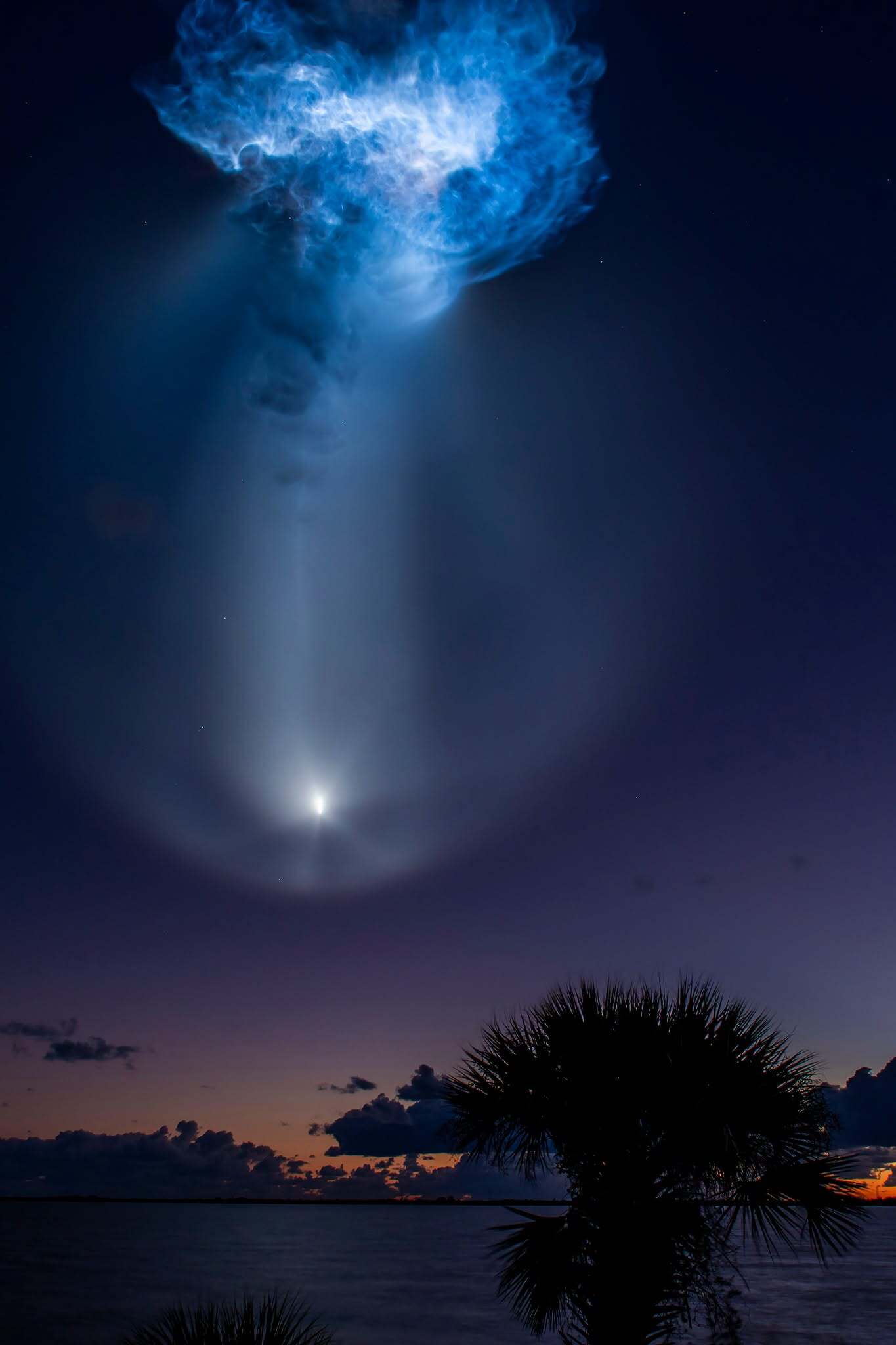 Meduza cosmică - SpaceX -NASA (5)