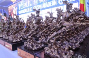 trofee Hermes economie Topul Firmelor