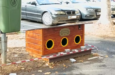 căsuțe pisici arad