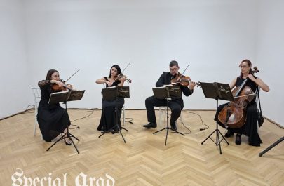 ccja 25