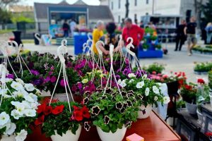 Curtici Festivalul Florilor de Toamnă
