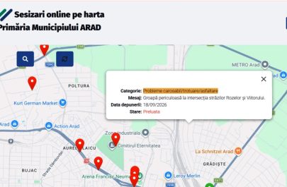 groapa sesizari online