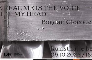 Bogdan Ciocodeică
