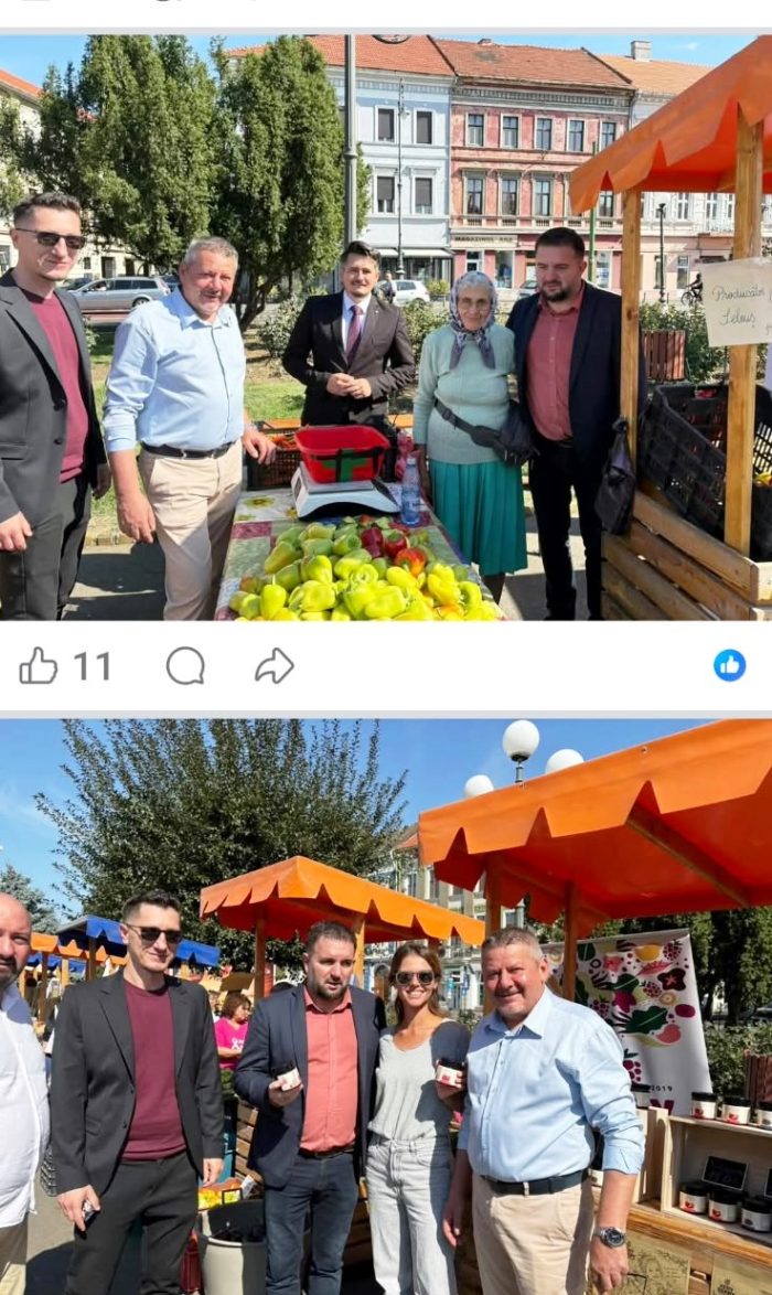 sulicean postari