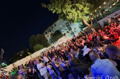 vin la curte (7)